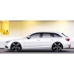 GMP Paky 18" 19" 20"