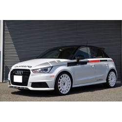 Oz Rallye Racing 17"18"19" colores