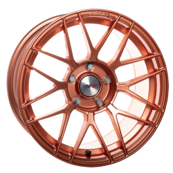 Motec hypermesh