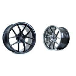 Bola FLE 19" doble ancho BMW