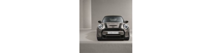 ADAPTABLES MINI