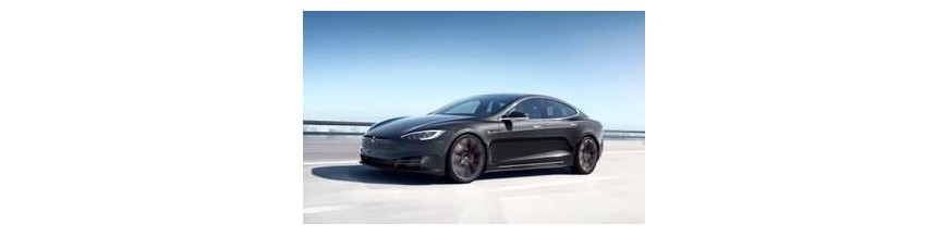 ADAPTABLES TESLA