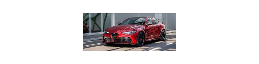 Adaptables Alfa Fiat